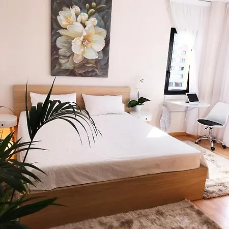 Viparaiso Appartement