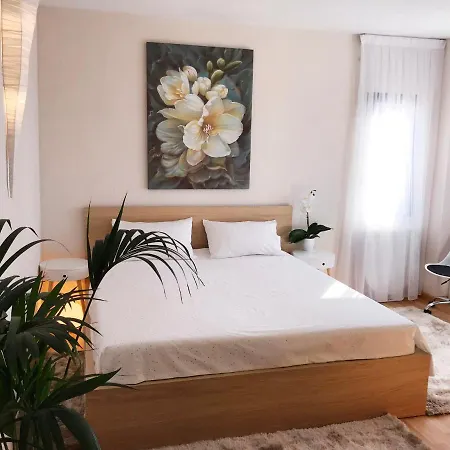 Viparaiso Appartement